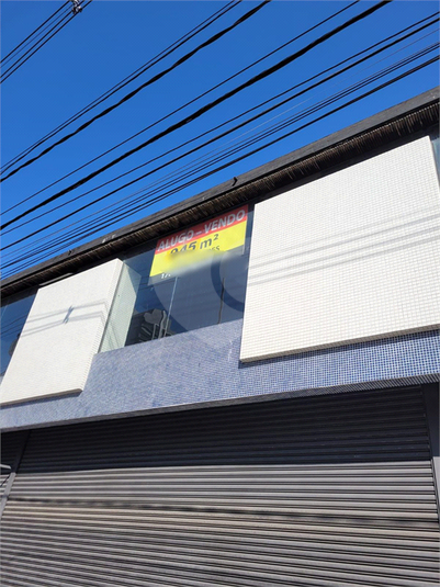 Foto REO1038681