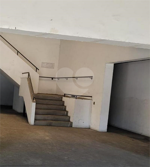 Foto REO1038681