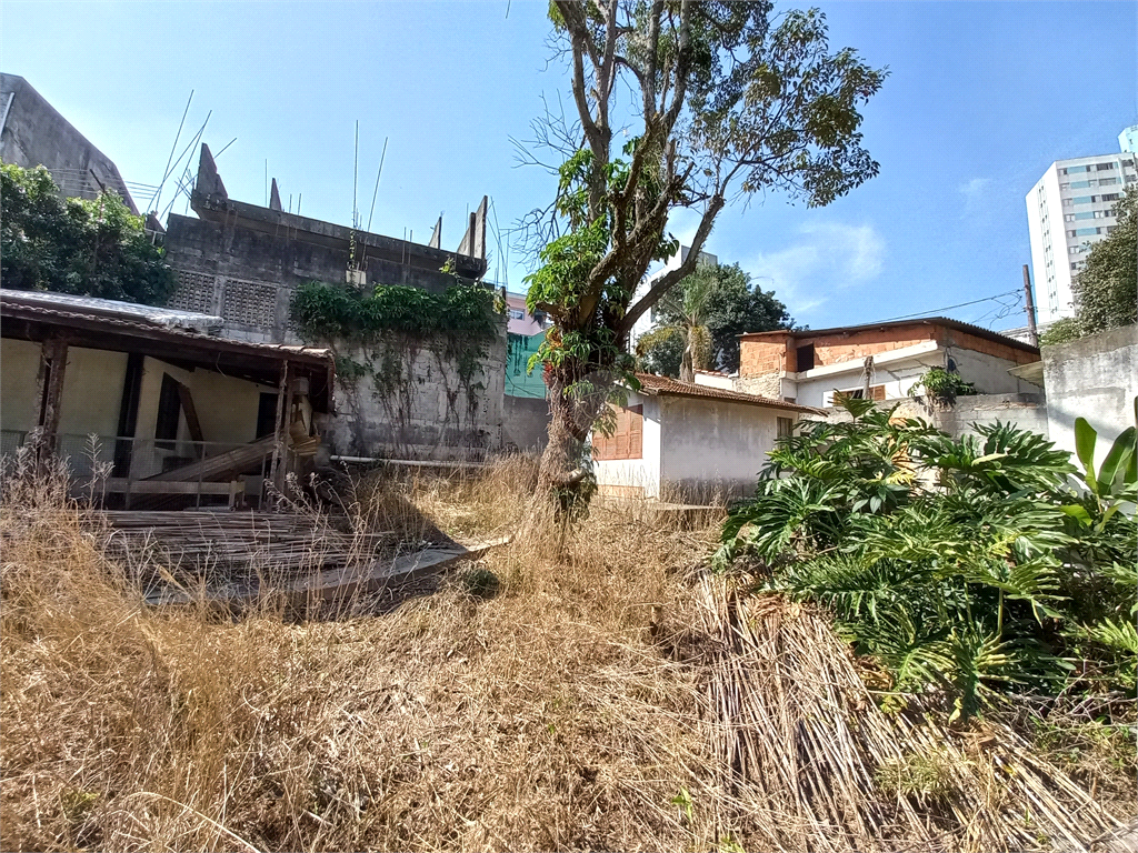 Venda Terreno São Paulo Jardim Monte Kemel REO1038683 4