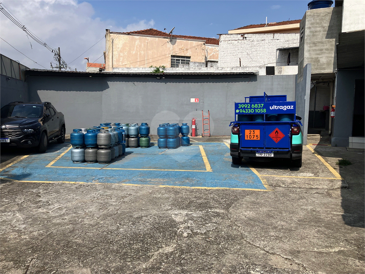 Foto REO1038794