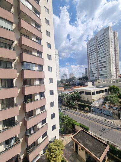 Foto REO1038874