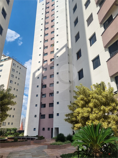 Foto REO1038874