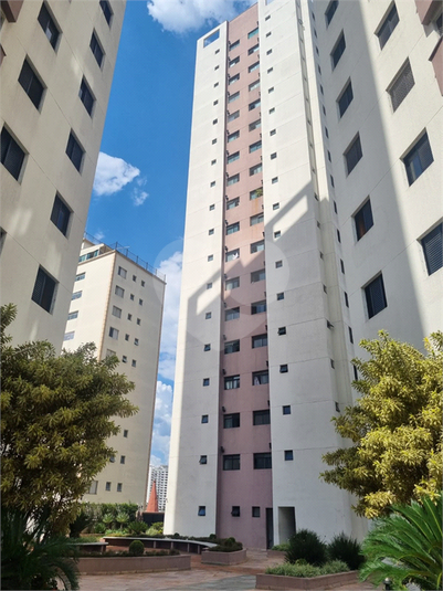 Foto REO1038874