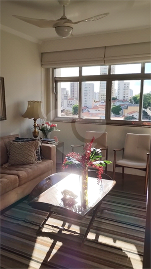 Foto REO1038941