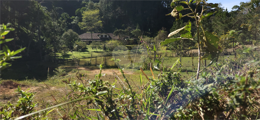 Venda Sítio Natividade Da Serra Centro REO1039000 29