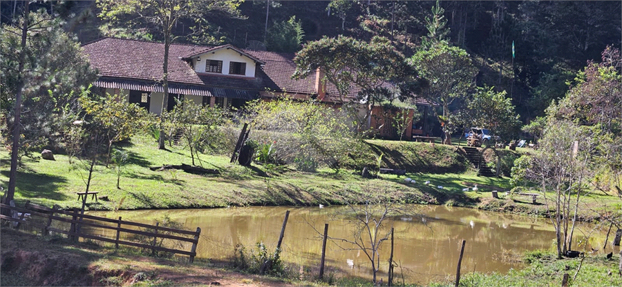 Venda Sítio Natividade Da Serra Centro REO1039000 57