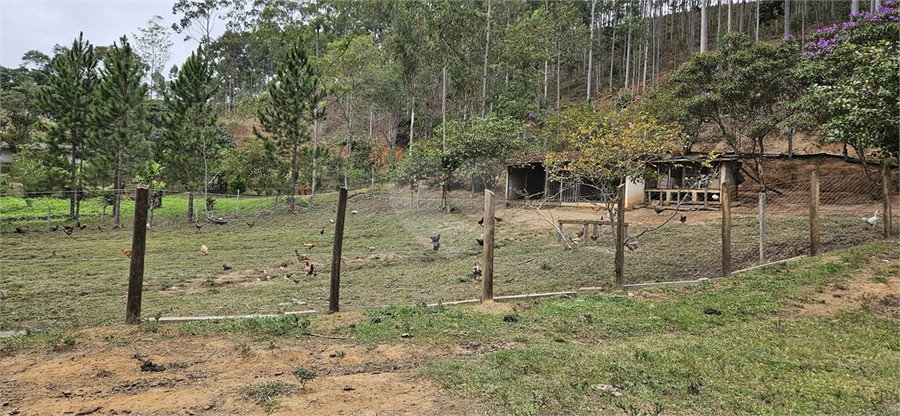 Venda Sítio Natividade Da Serra Centro REO1039000 47