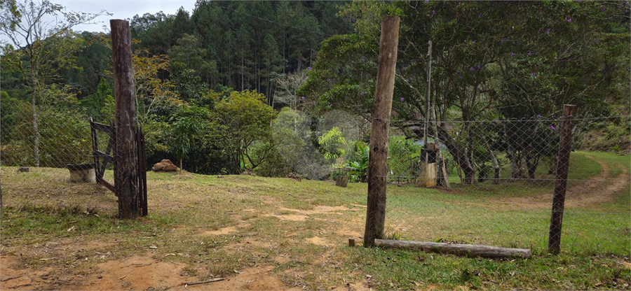 Venda Sítio Natividade Da Serra Centro REO1039000 42