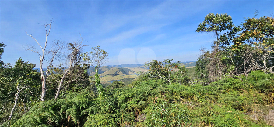 Venda Sítio Natividade Da Serra Centro REO1039000 40