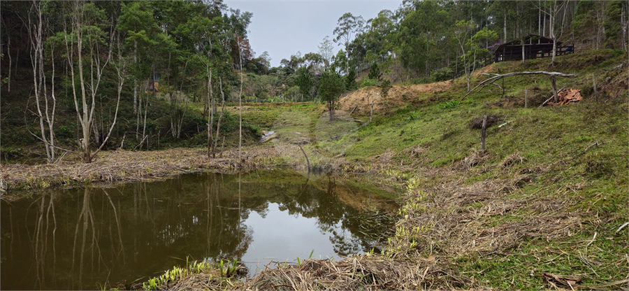 Venda Sítio Natividade Da Serra Centro REO1039000 45