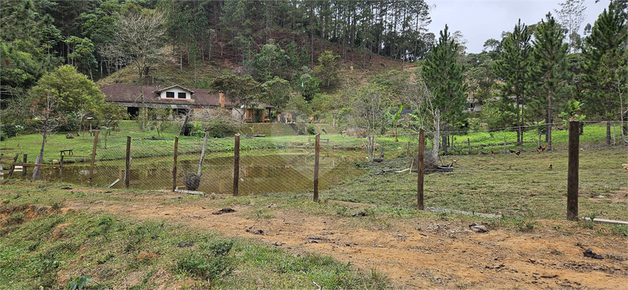 Venda Sítio Natividade Da Serra Centro REO1039000 46