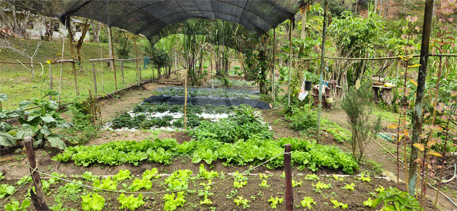 Venda Sítio Natividade Da Serra Centro REO1039000 54