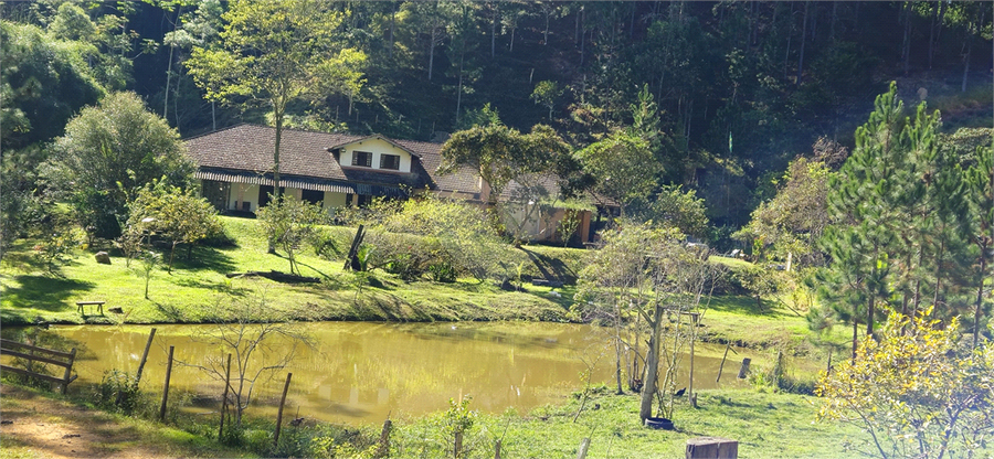 Venda Sítio Natividade Da Serra Centro REO1039000 5