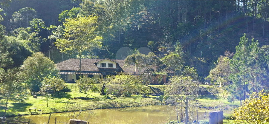 Venda Sítio Natividade Da Serra Centro REO1039000 6