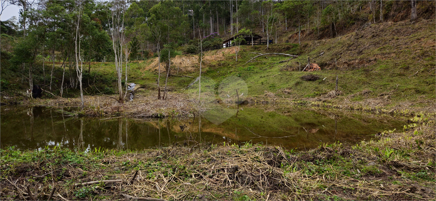 Venda Sítio Natividade Da Serra Centro REO1039000 44