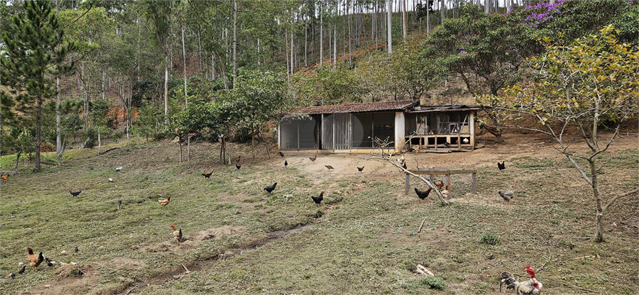 Venda Sítio Natividade Da Serra Centro REO1039000 53