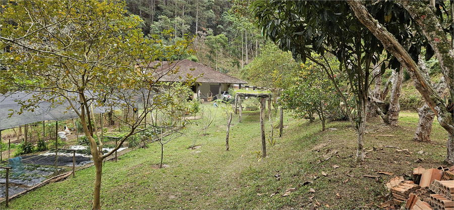 Venda Sítio Natividade Da Serra Centro REO1039000 50