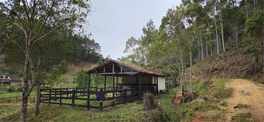 Venda Sítio Natividade Da Serra Centro REO1039000 49