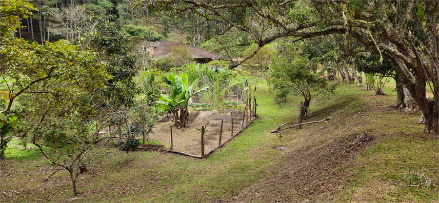 Venda Sítio Natividade Da Serra Centro REO1039000 43