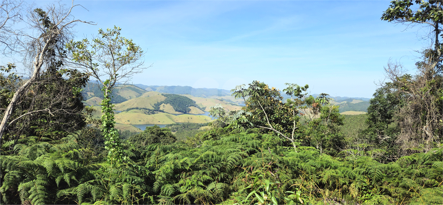 Venda Sítio Natividade Da Serra Centro REO1039000 36