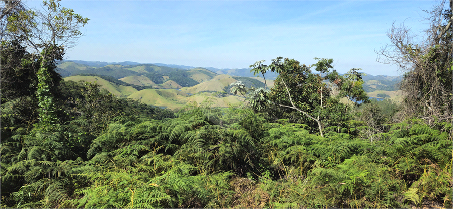 Venda Sítio Natividade Da Serra Centro REO1039000 39