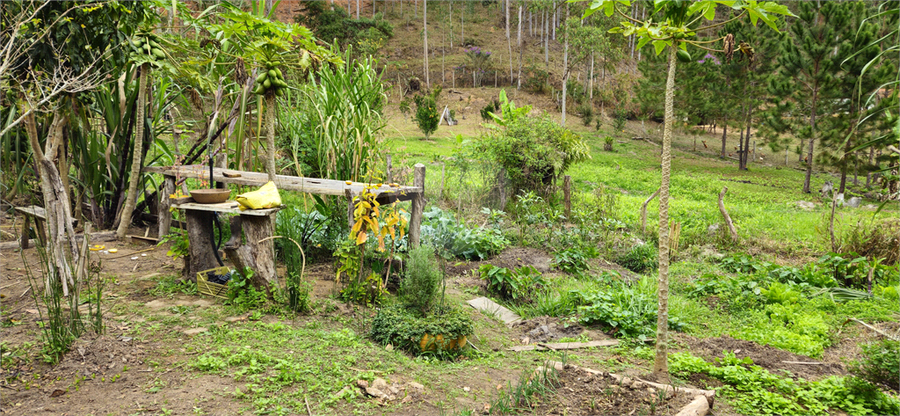 Venda Sítio Natividade Da Serra Centro REO1039000 55