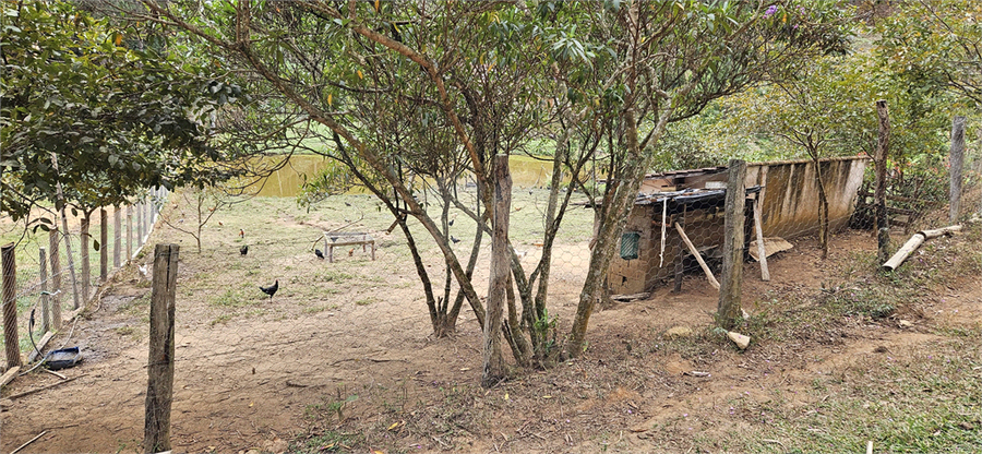 Venda Sítio Natividade Da Serra Centro REO1039000 48