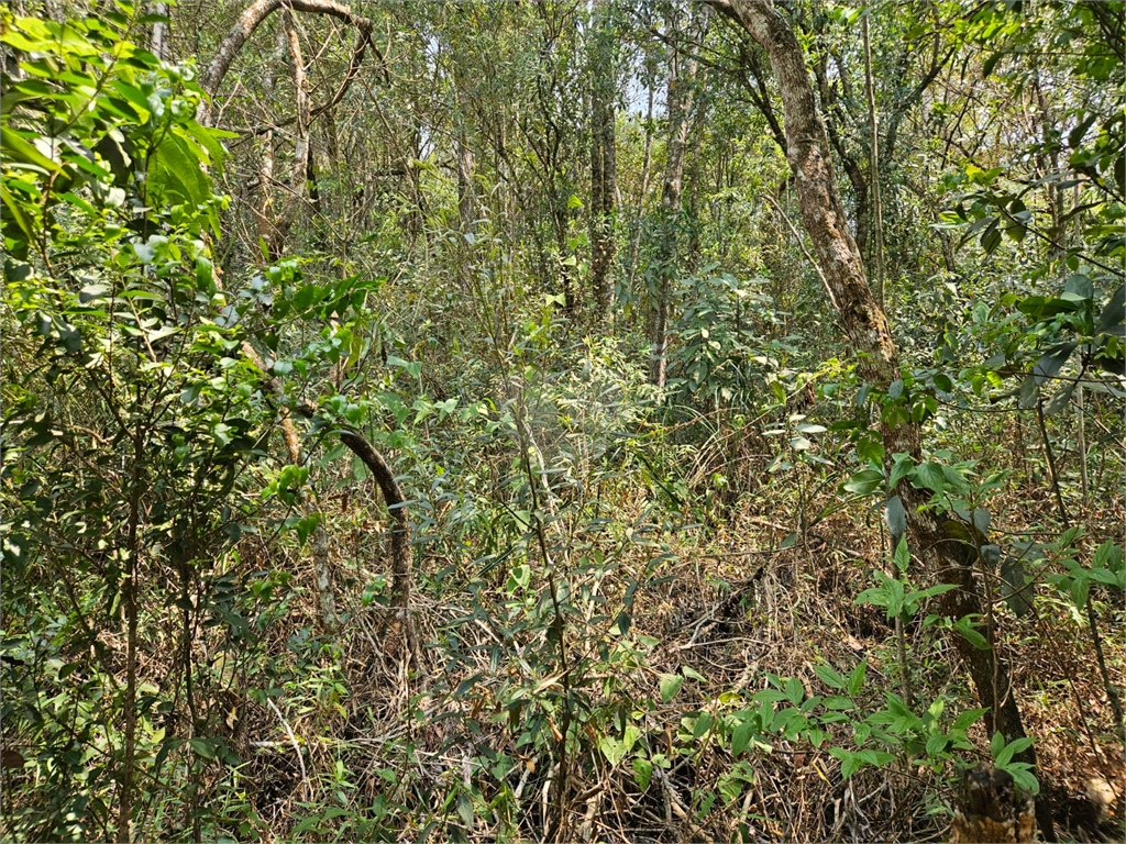 Venda Terreno Ibiúna Curral REO1039034 5