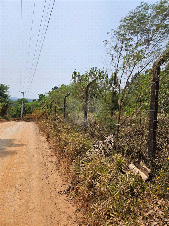 Venda Terreno Ibiúna Curral REO1039034 4