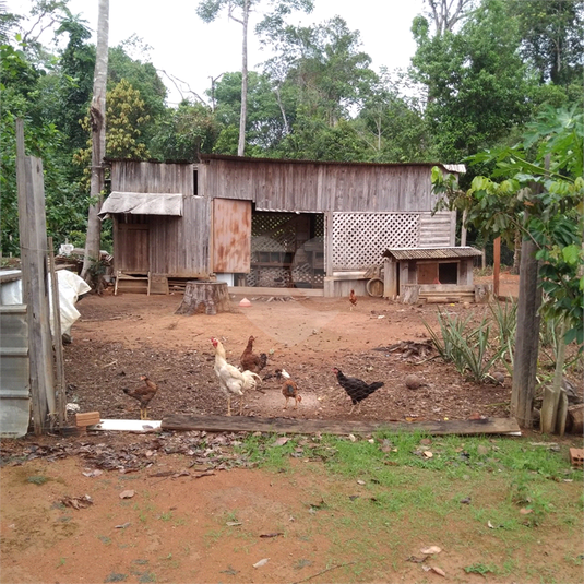 Venda Chácara Sinop Área Rural De Sinop REO1039067 7