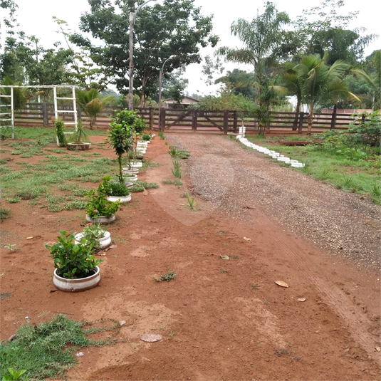 Venda Chácara Sinop Área Rural De Sinop REO1039067 1