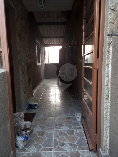Foto REO1039093