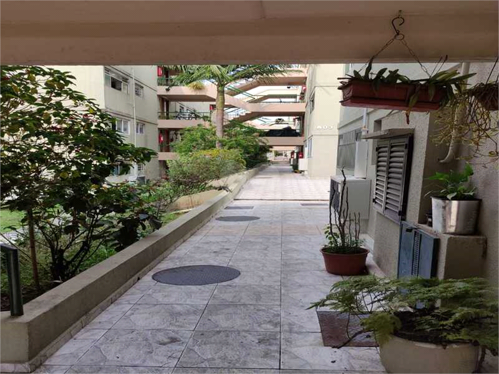 Venda Apartamento São Paulo Jardim São Bernardo REO1039276 23