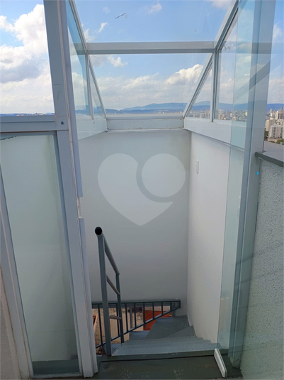Foto REO1039450