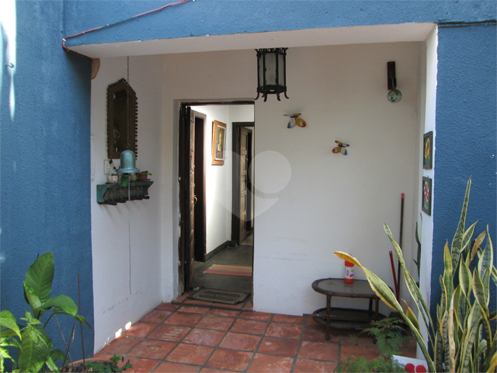 Foto REO1039533