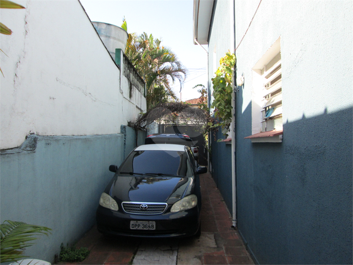 Foto REO1039533