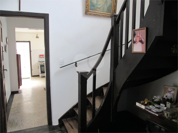 Foto REO1039533