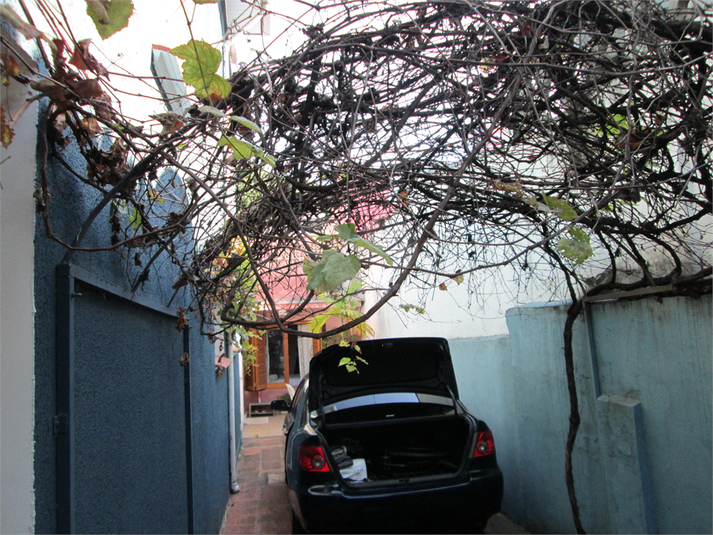 Foto REO1039533