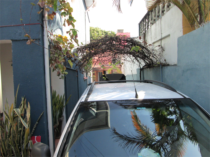 Foto REO1039533