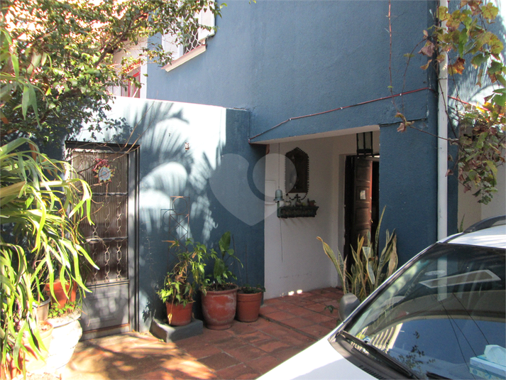 Foto REO1039533