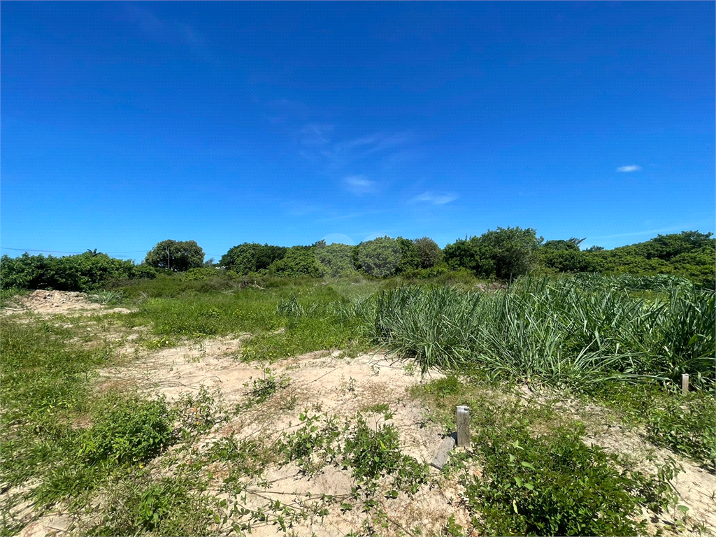 Venda Terreno Armação Dos Búzios Baia Formosa REO1039541 4