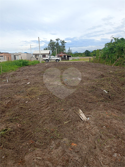 Foto REO1039567