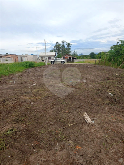 Foto REO1039567