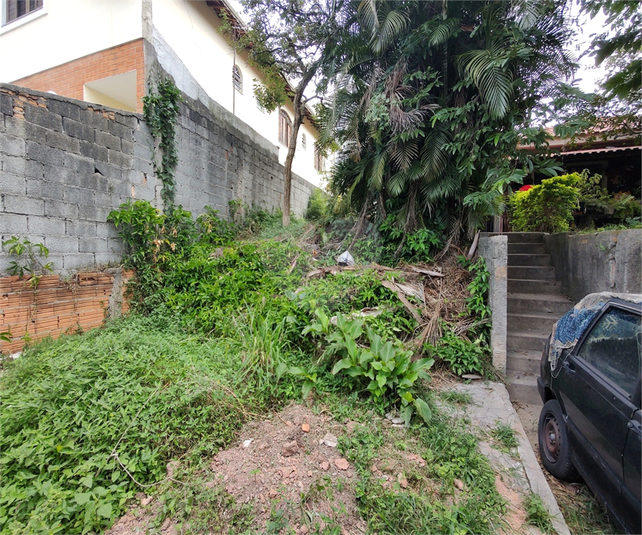 Foto REO1039582