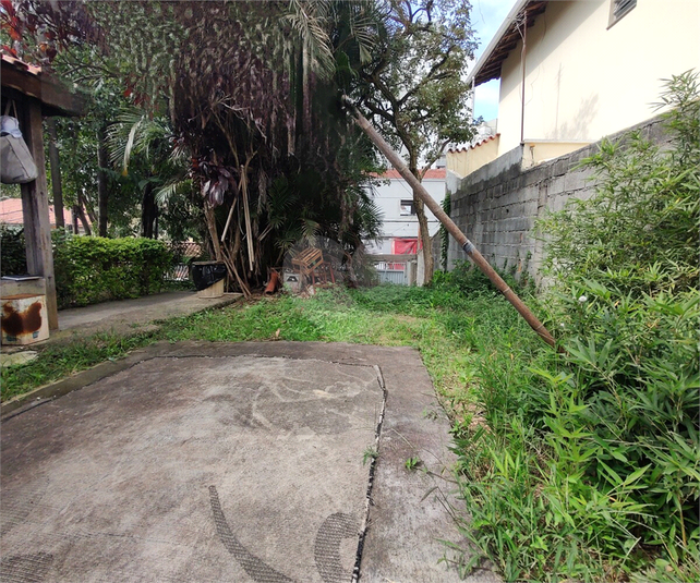 Foto REO1039582