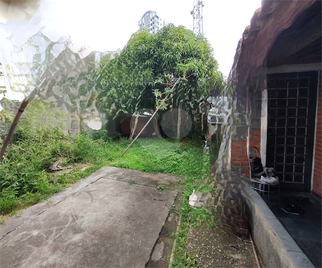 Foto REO1039582
