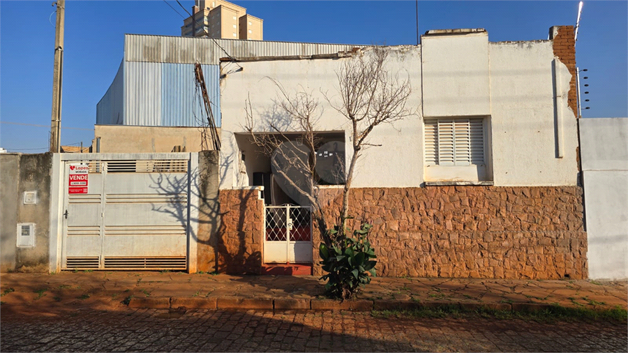 Foto REO1039592