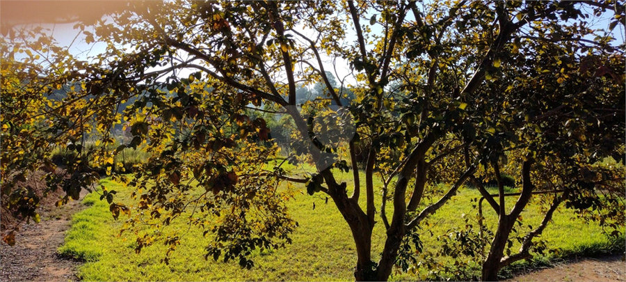 Venda Chácara Atibaia Atibaia Vista Da Montanha REO1039609 59