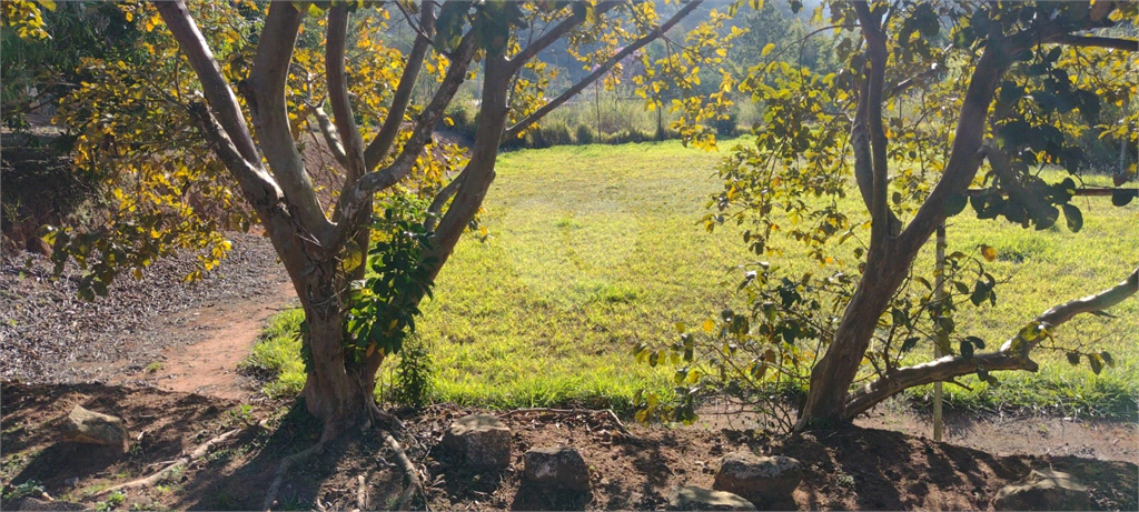 Venda Chácara Atibaia Atibaia Vista Da Montanha REO1039609 46