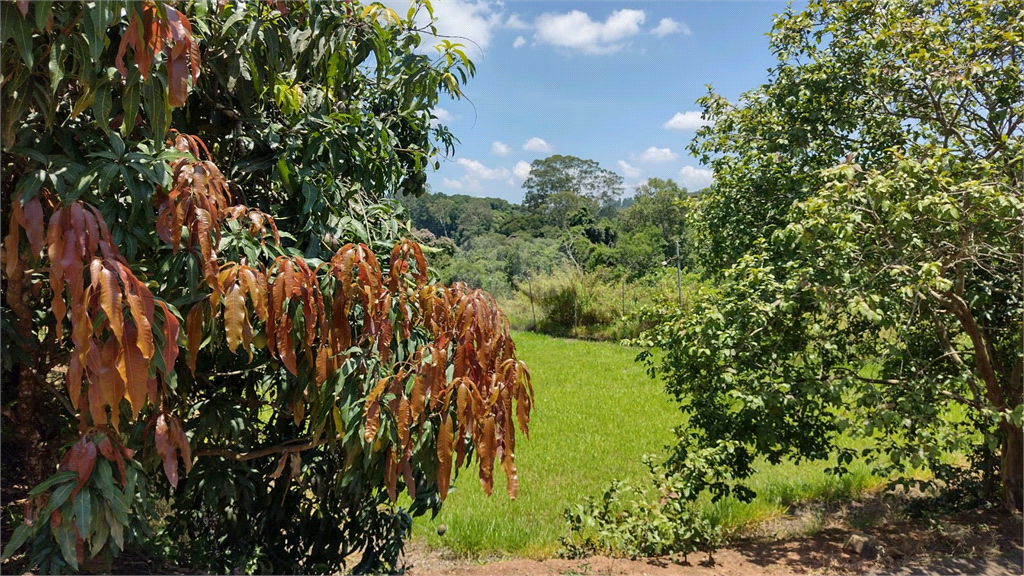 Venda Chácara Atibaia Atibaia Vista Da Montanha REO1039609 29